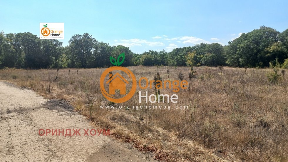 Продава ЗЕМЕДЕЛСКА ЗЕМЯ, с. Църква, област Добрич, снимка 7 - Земеделска земя - 53991539