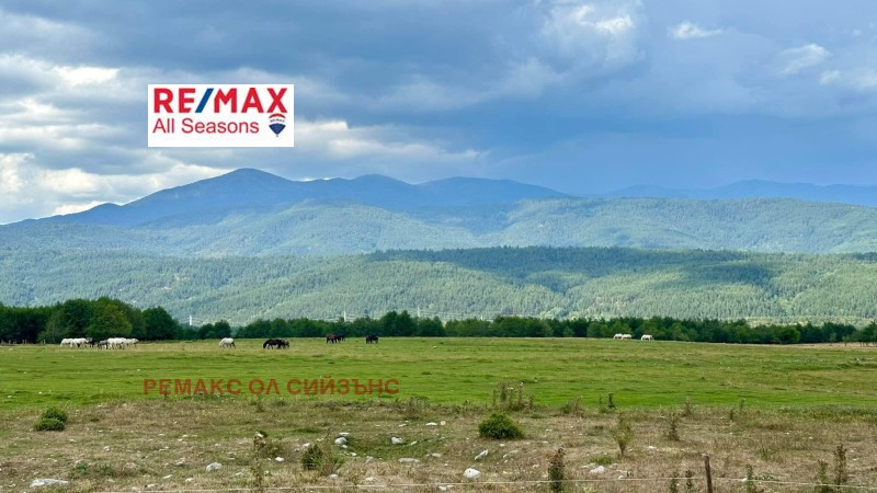 Продава ПАРЦЕЛ в област Благоевград, гр. Разлог - 6202 кв.м / 186 060 € » 363 901.73 лв., РЕМАКС ОЛ СИЙЗЪНС
