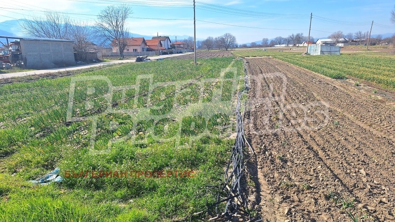 Продава ПАРЦЕЛ в област Пазарджик, с. Братаница - 1506 кв.м / 52 710 € » 103 091.80 лв., БЪЛГЕРИАН ПРОПЕРТИС