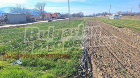 ����� ������� ������,�. ���������, ������ ���������