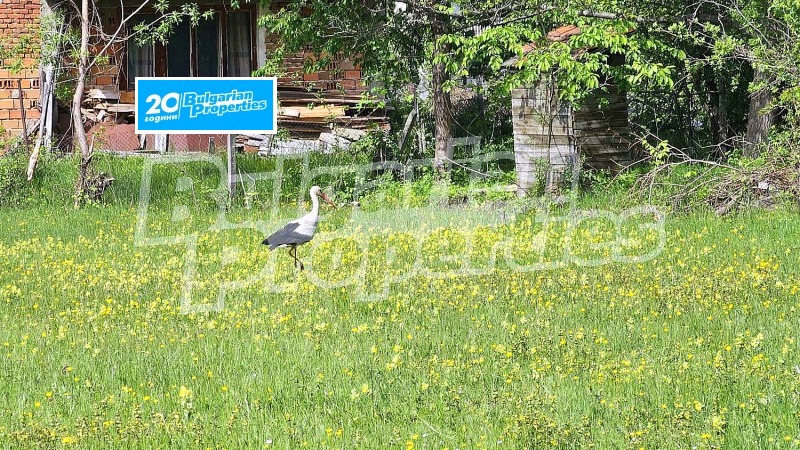 À venda  Trama região Sófia , Raduil , 550 m² | 41314412 - imagem [15]