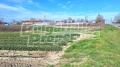 Продава ПАРЦЕЛ, област Пазарджик, с. Братаница • 52710 € / 103091.80 лв. • 38829931 5