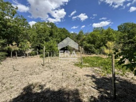 Komplott Baltjik, region Dobrich