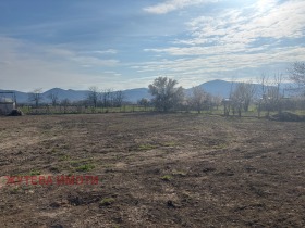 ����� ������� ������,�. ������, ������ �������