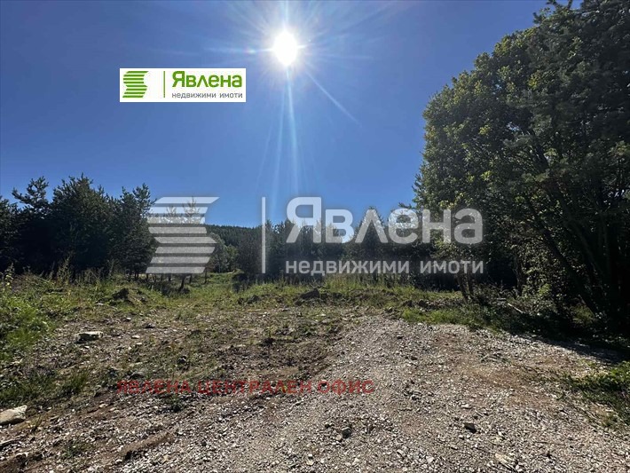 À vendre  Parcelle Sofia , Bistritsa , 2500 m² | 19139841 - image [2]