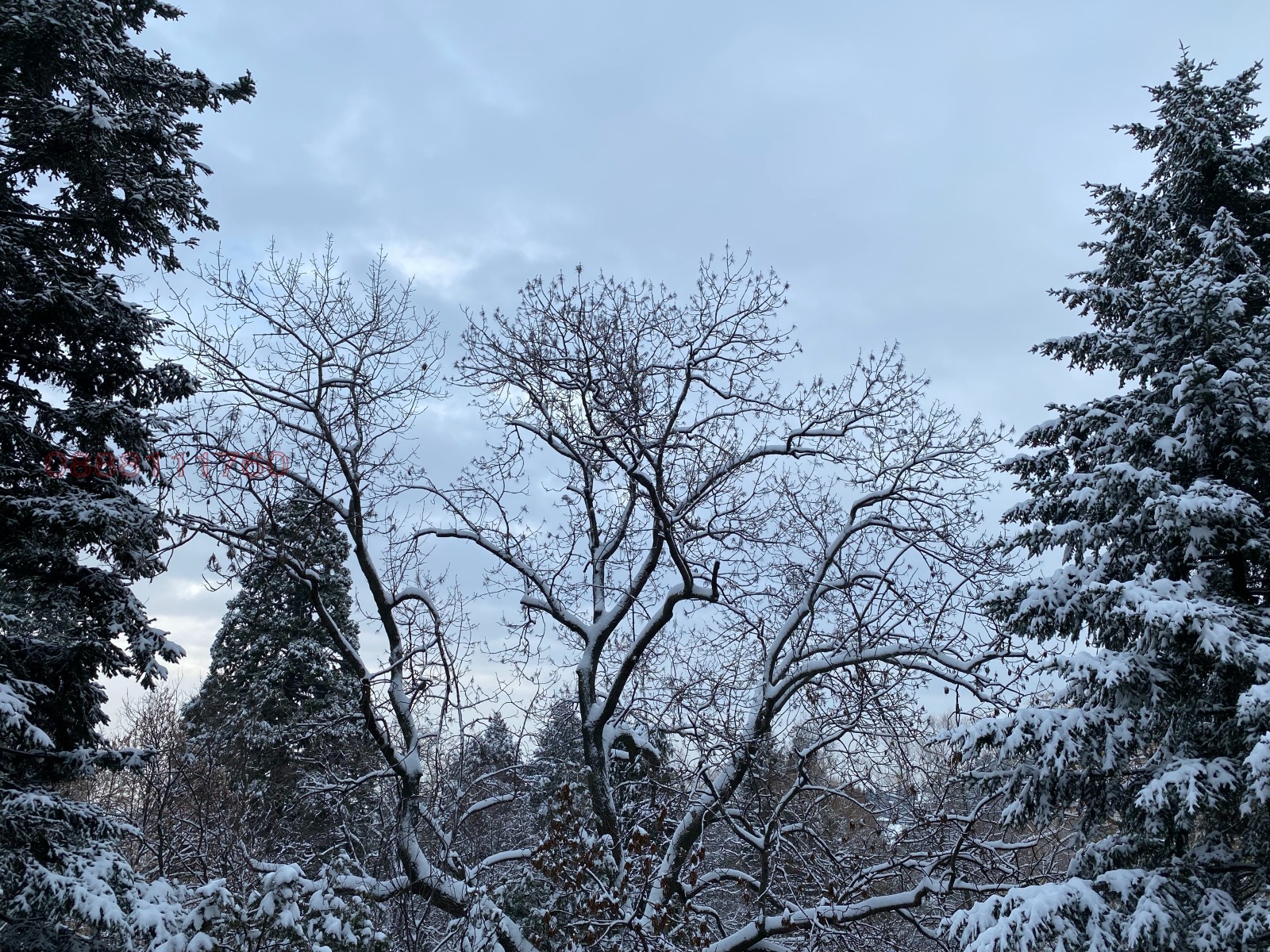 ������� 4-����� | Imot.bg � ����������� 11