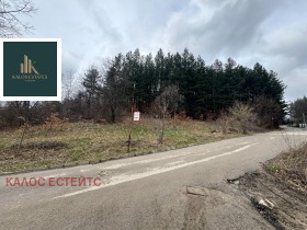 ����� ������� ������,�. �������, ������ ������