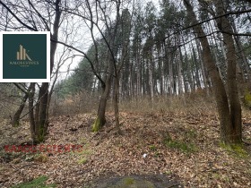 ����� ������� ������,�. �������, ������ ������>