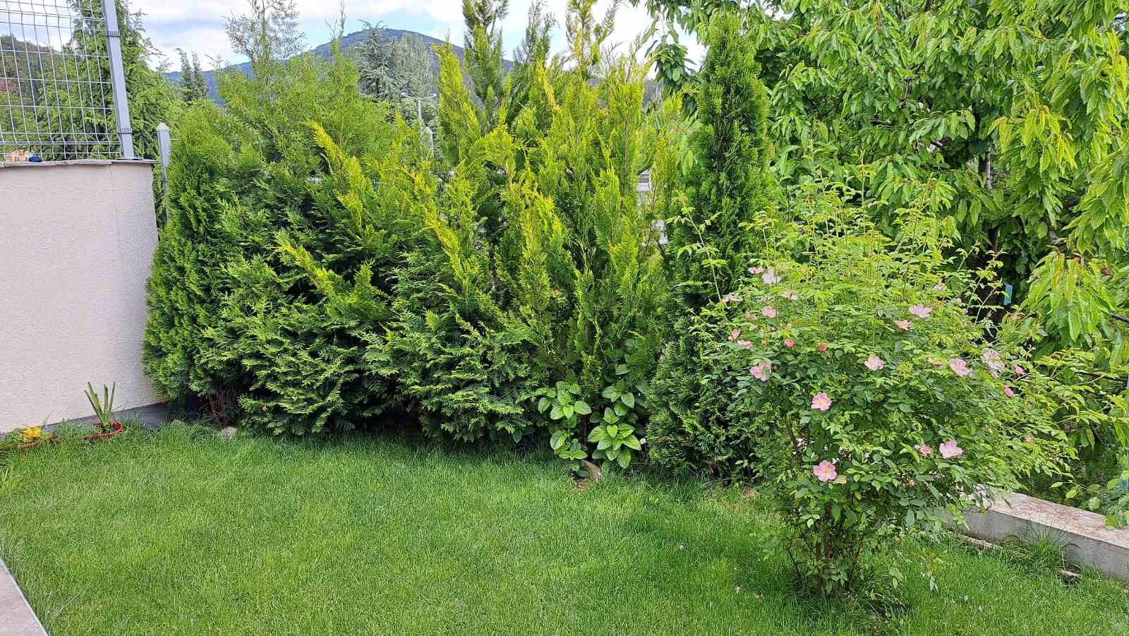 Продава КЪЩА, гр. Стара Загора, Загорка, снимка 5 - Къщи - 54800428
