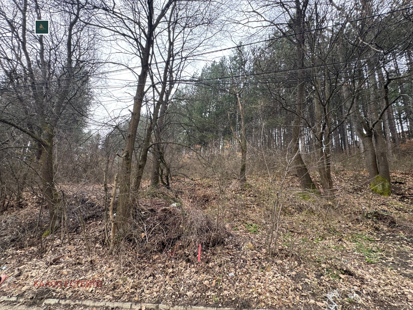 Продава ПАРЦЕЛ, с. Рударци, област Перник, снимка 4 - Парцели - 54120438