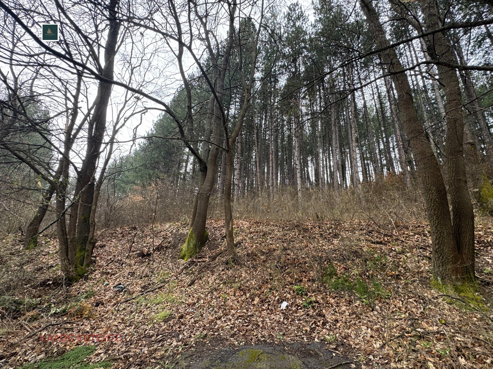 Продава ПАРЦЕЛ, с. Рударци, област Перник, снимка 3 - Парцели - 54120438