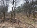 Продава ПАРЦЕЛ, област Перник, с. Рударци • 89000 € / 174068.87 лв. • 59847286 5
