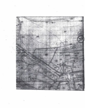 ����� ������� ������,�. ������, ������ ����