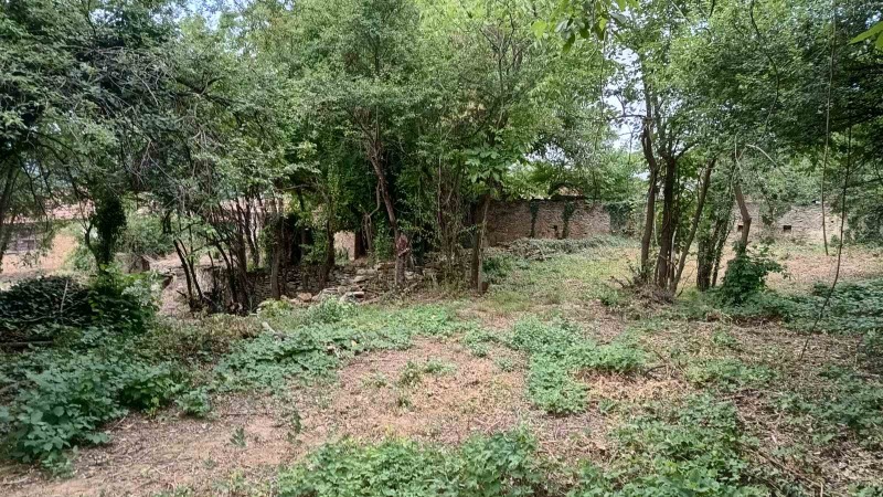À venda  Trama região Gabrovo , Gostilica , 1635 m² | 83632619 - imagem [8]