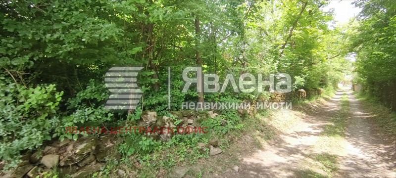 Продава ПАРЦЕЛ, с. Орешак, област Ловеч, снимка 4 - Парцели - 53713445