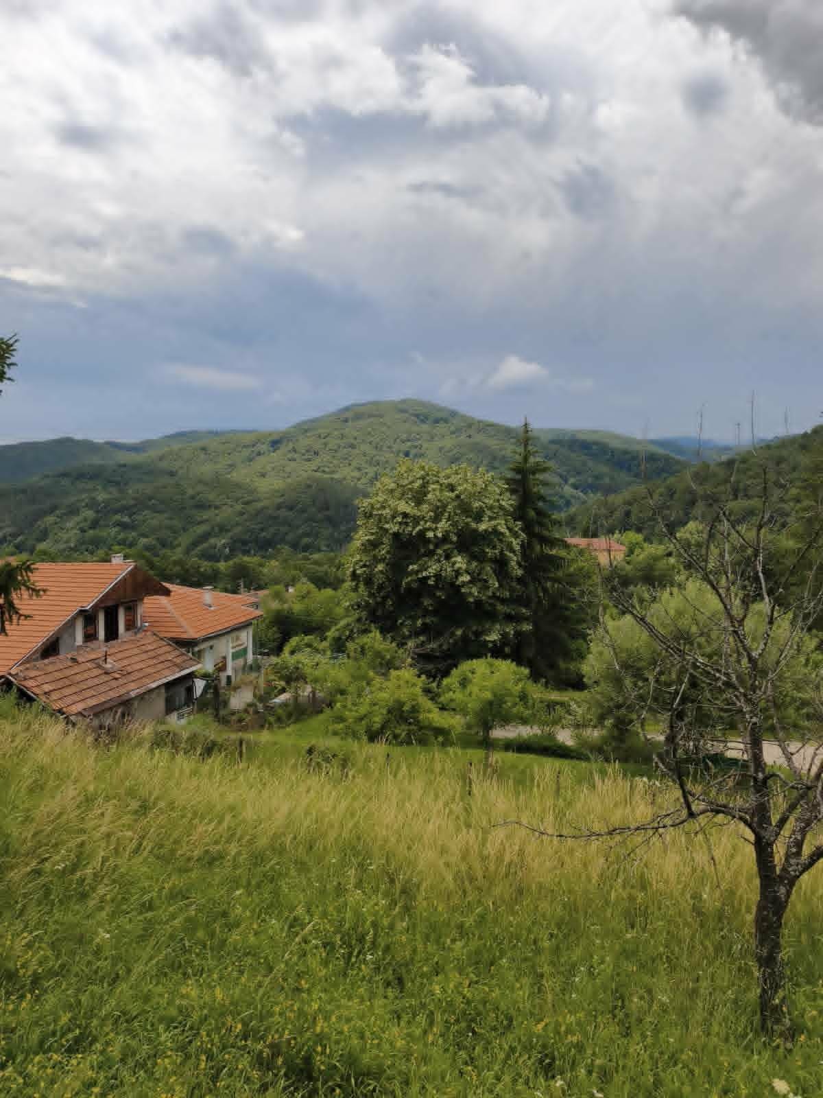 Продава ЗАВЕДЕНИЕ, с. Терзийско, област Ловеч, снимка 7 - Заведения - 55023169
