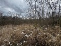 Продава ПАРЦЕЛ, гр. Варна, м-т Боровец - юг, снимка 2