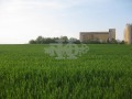 Продава ПАРЦЕЛ, гр. Варна, Западна промишлена зона, снимка 5