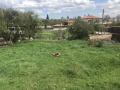 Продава КЪЩА, с. Рельово, област София област, снимка 5