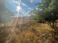 Продава ПАРЦЕЛ, град Бургас, Черно море • 25000 € • 57727858 — Holmes.bg