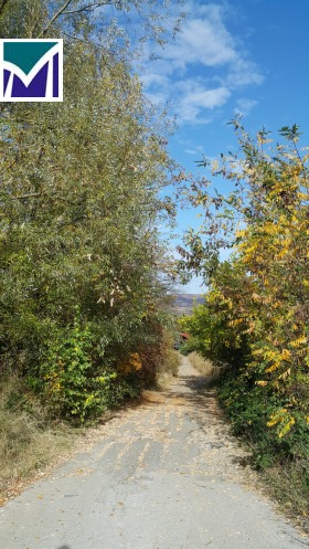 ����� ������� ������,���� �����, ��������