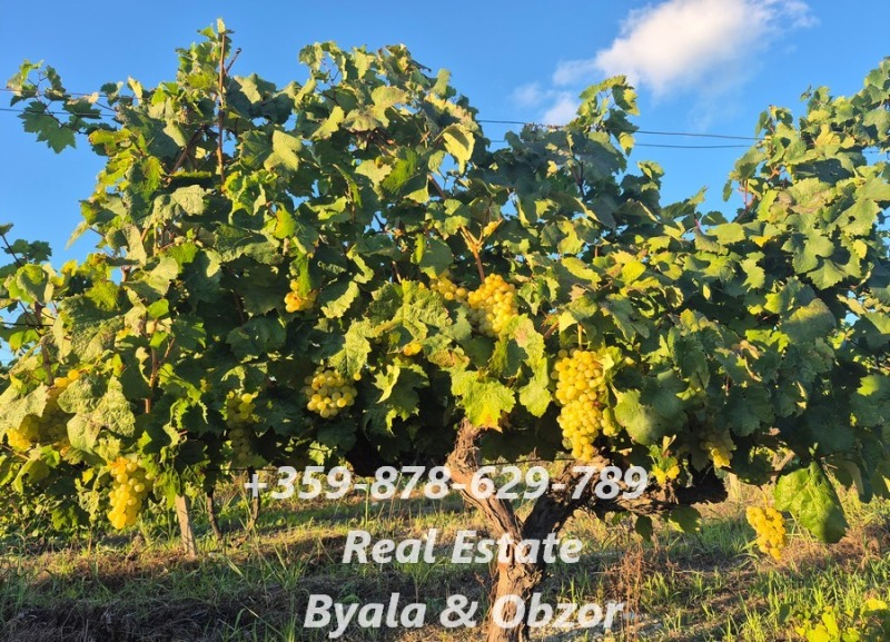 Продава 2-СТАЕН, гр. Бяла, област Варна, снимка 12 - Апартаменти - 52634639