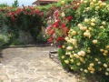 Продава КЪЩА, област Варна, с. Близнаци • 388500 € • 70514071 — Holmes.bg