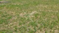 Продава ПАРЦЕЛ, област Пловдив, с. Стряма • 150000 € • 96059031 — Holmes.bg