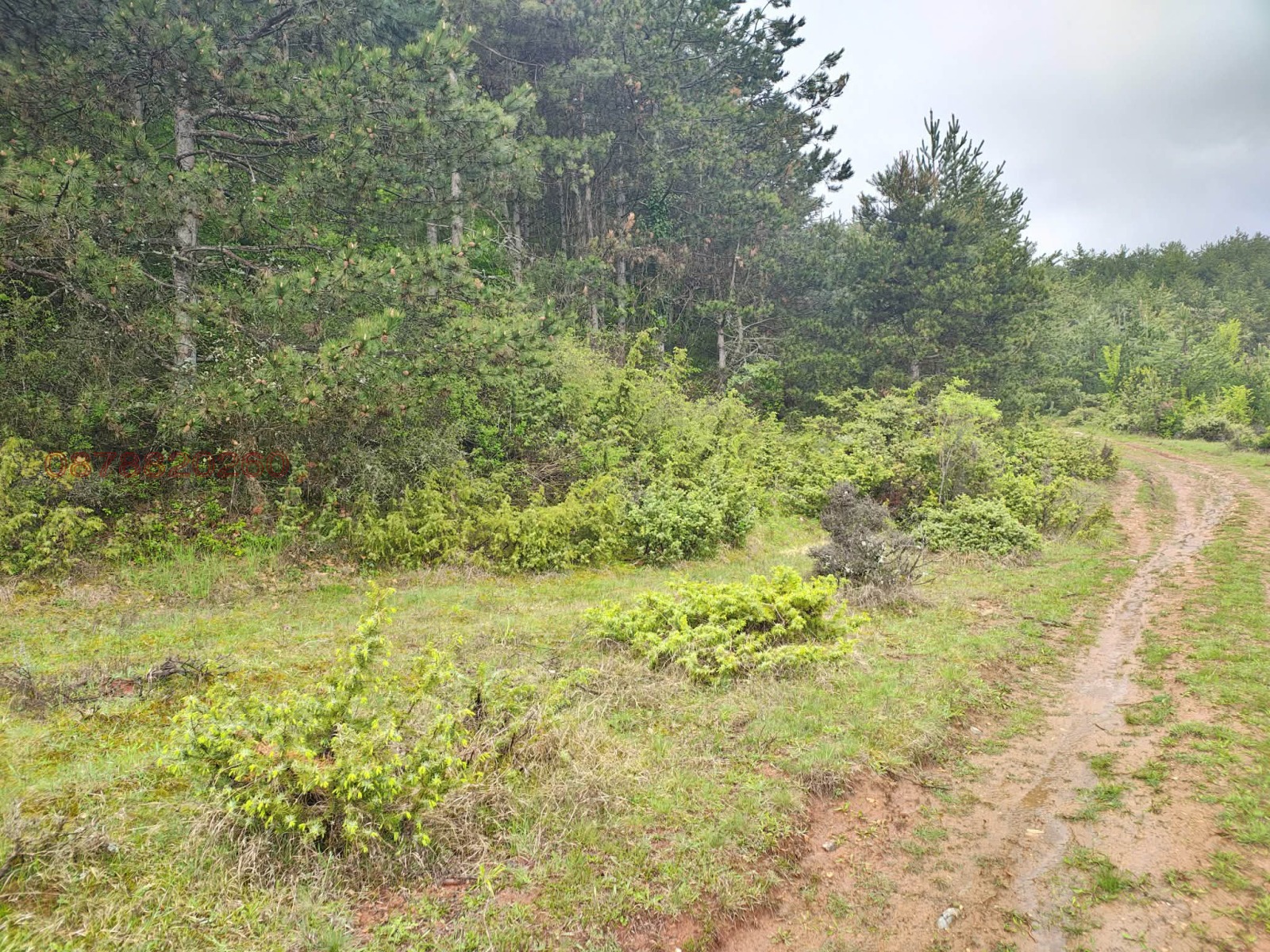 ������� ���������� ���� | Imot.bg � ����������� 12