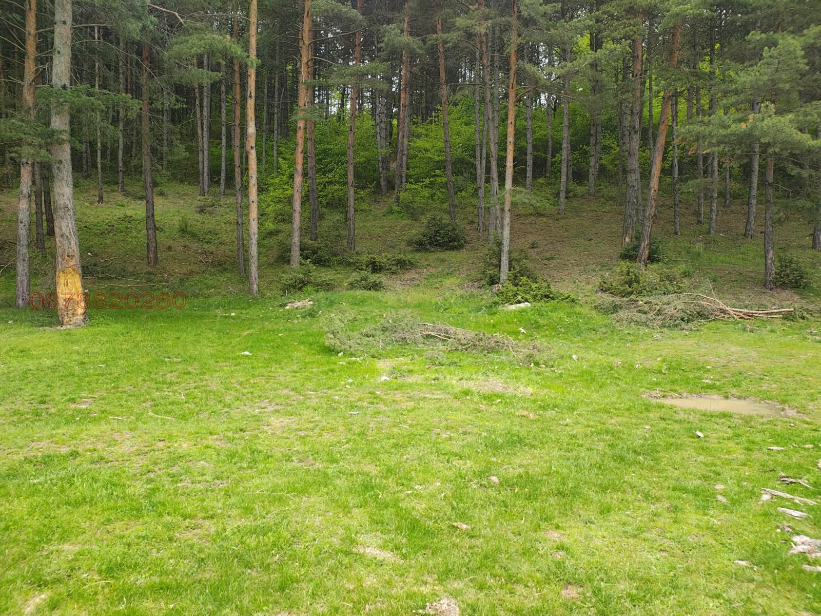 ������� ���������� ���� | Imot.bg � ����������� 17