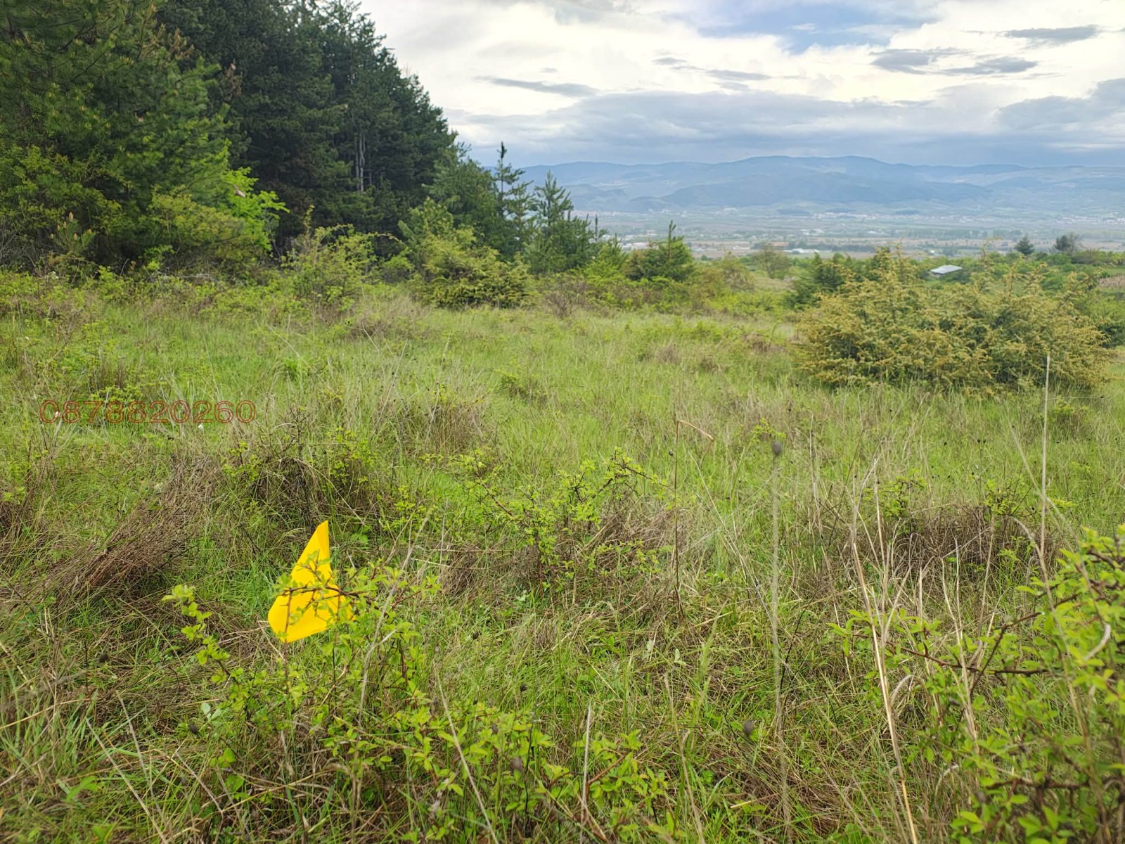 ������� ���������� ���� | Imot.bg � ����������� 10