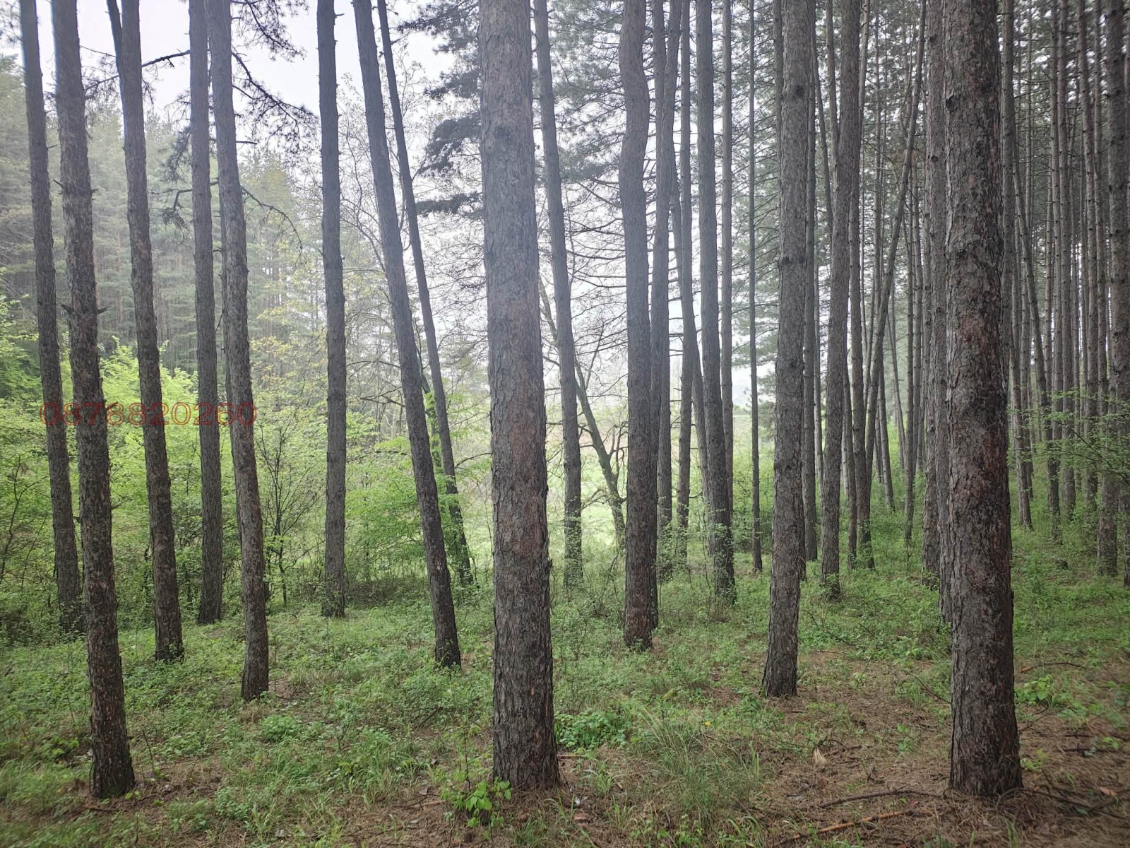 ������� ���������� ���� | Imot.bg � ����������� 15