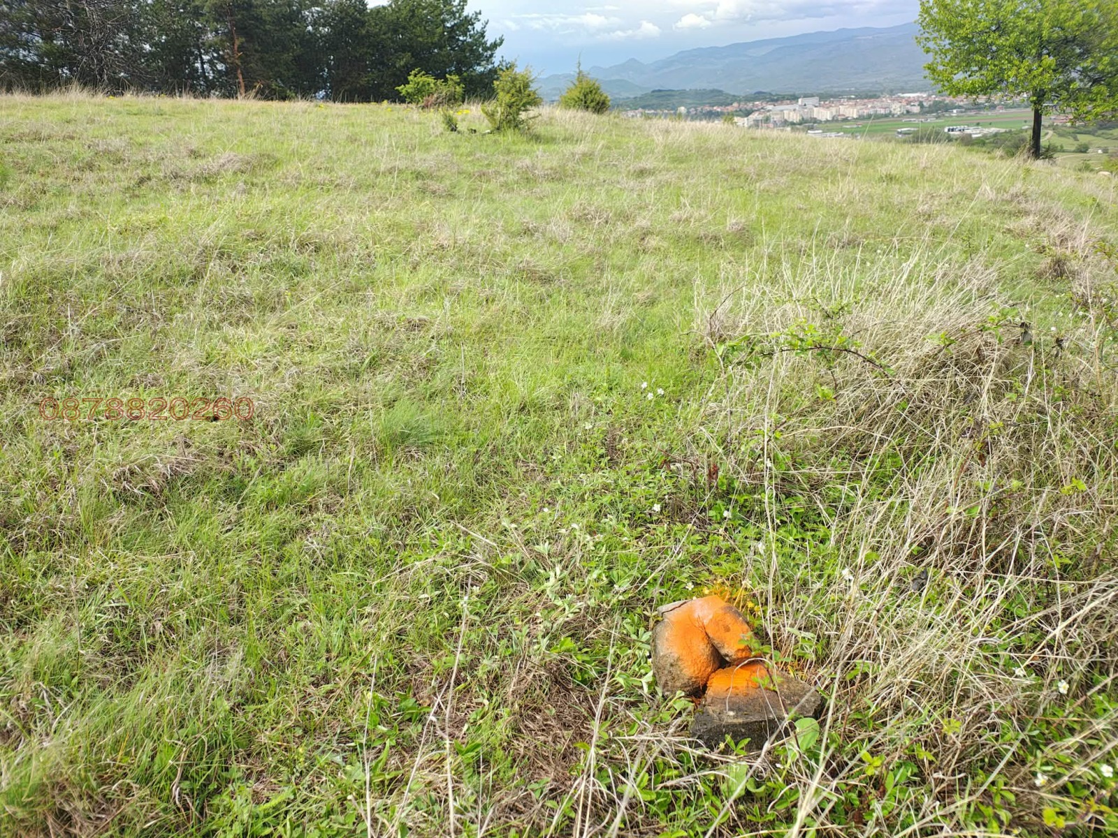 ������� ���������� ���� | Imot.bg � ����������� 5