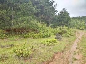 ������� ���������� ���� | Imot.bg � ����� ������ 12