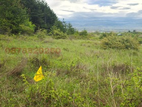 ������� ���������� ���� | Imot.bg � ����� ������ 10