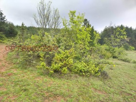 ������� ���������� ���� | Imot.bg � ����� ������ 11