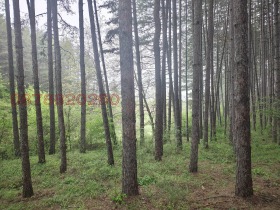 ������� ���������� ���� | Imot.bg � ����� ������ 15