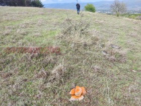 ������� ���������� ���� | Imot.bg � ����� ������ 6