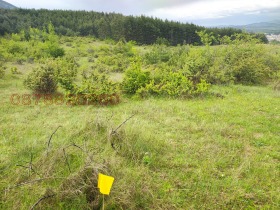 ������� ���������� ���� | Imot.bg � ����� ������ 8