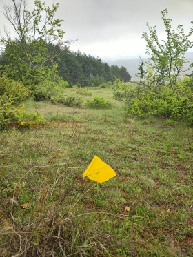 ������� ���������� ���� | Imot.bg � ����� ������ 13