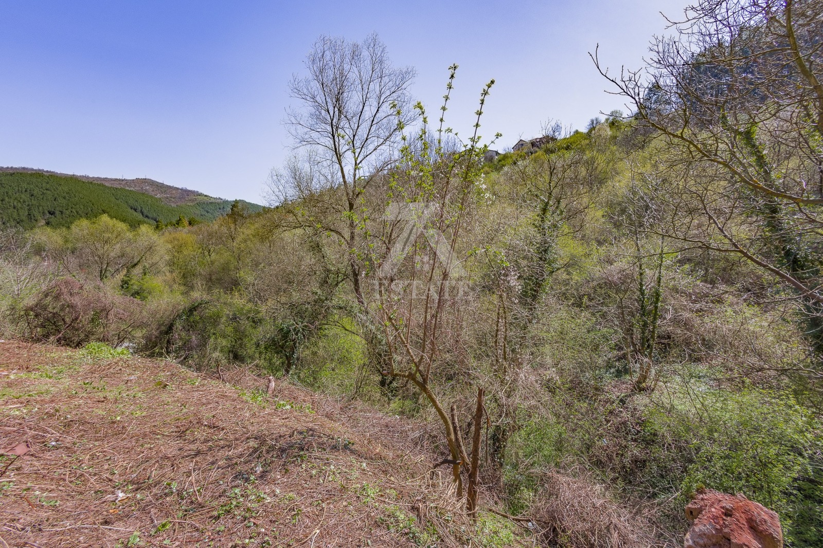 Продава КЪЩА, гр. Своге, област София област, снимка 10 - Къщи - 54085359