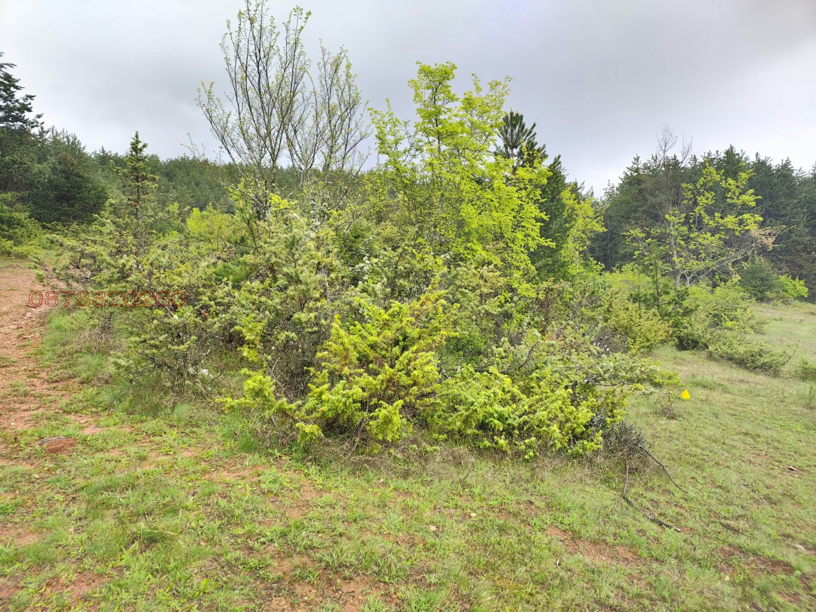 Продава ЗЕМЕДЕЛСКА ЗЕМЯ, гр. Гоце Делчев, област Благоевград, снимка 10 - Земеделска земя - 54108336