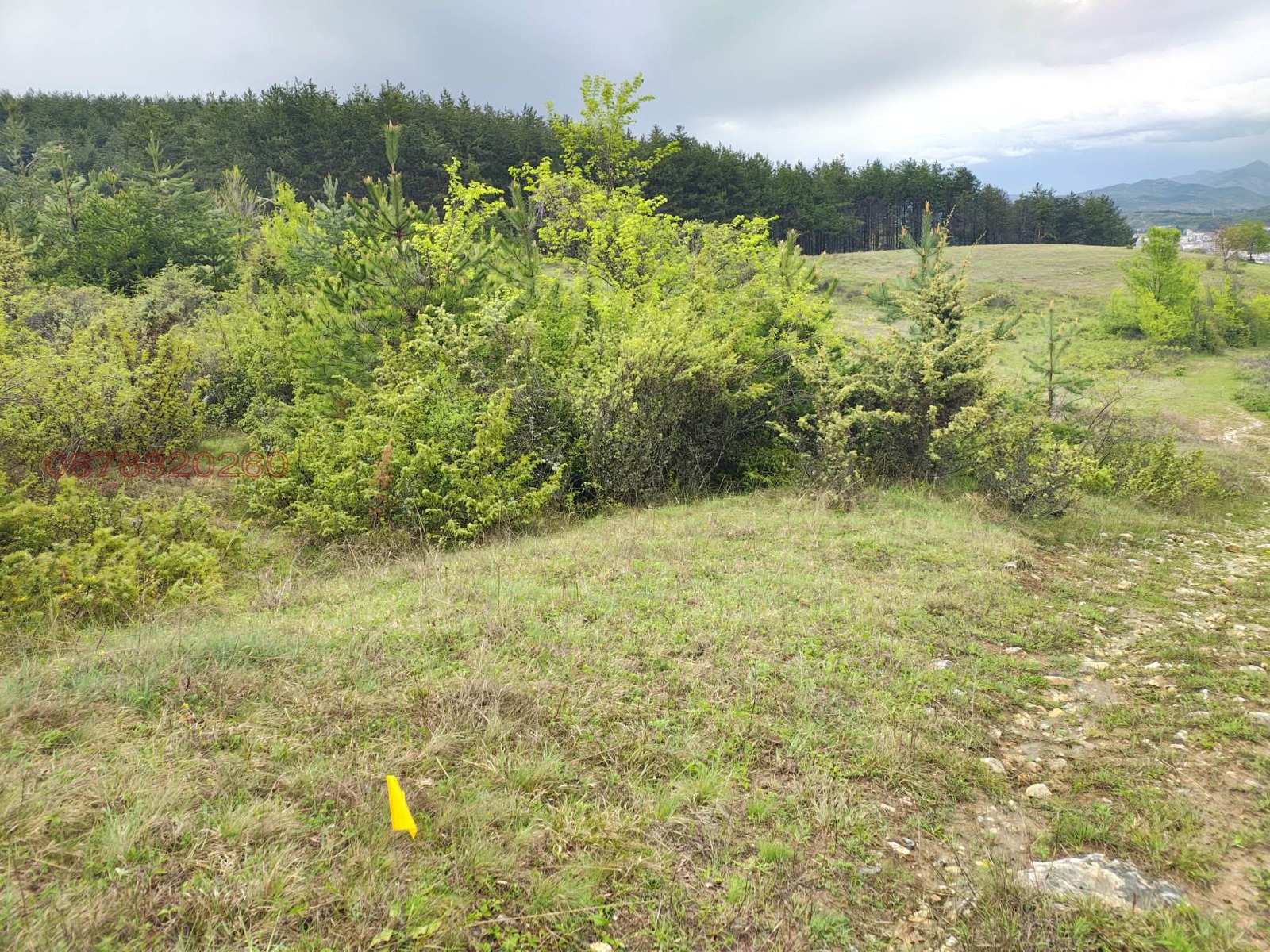 Продава ЗЕМЕДЕЛСКА ЗЕМЯ, гр. Гоце Делчев, област Благоевград, снимка 8 - Земеделска земя - 54108336