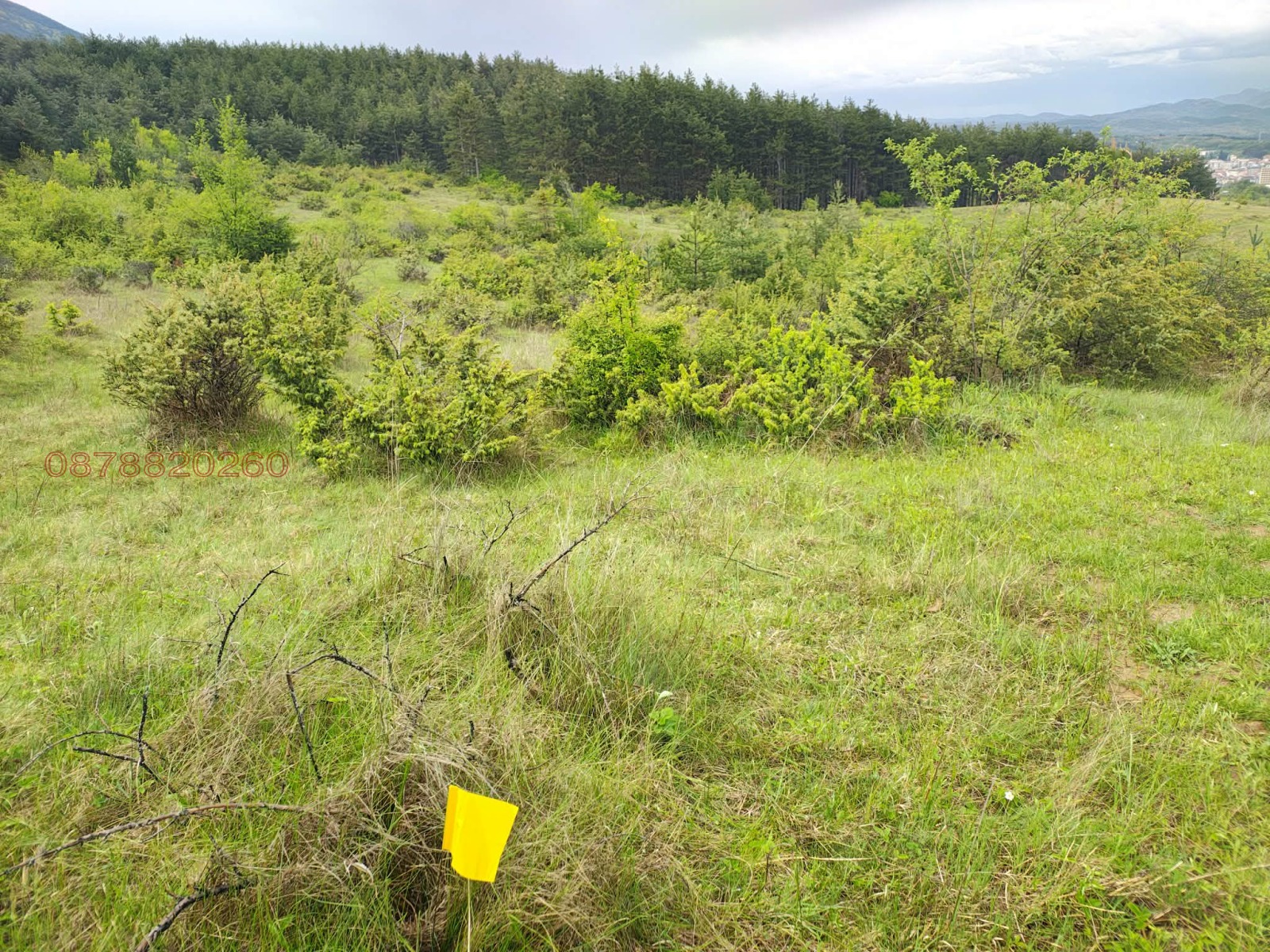 Продава ЗЕМЕДЕЛСКА ЗЕМЯ, гр. Гоце Делчев, област Благоевград, снимка 7 - Земеделска земя - 54108336