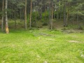 Продава  Земеделска земя област Благоевград , гр. Гоце Делчев , 35 дка | 88196491 - изображение [17]