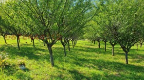 ������� ������ | Imot.bg � ����� ������ 3