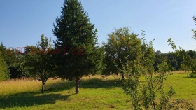 ������� ������ | Imot.bg � ����� ������ 13