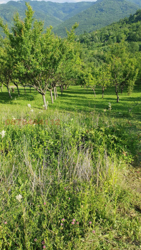 ������� ������ | Imot.bg � ����� ������ 9