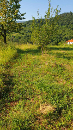 ������� ������ | Imot.bg � ����� ������ 5