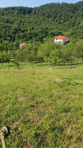 ������� ������ | Imot.bg � ����� ������ 8